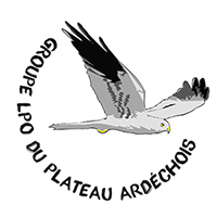 logo groupe plateau200